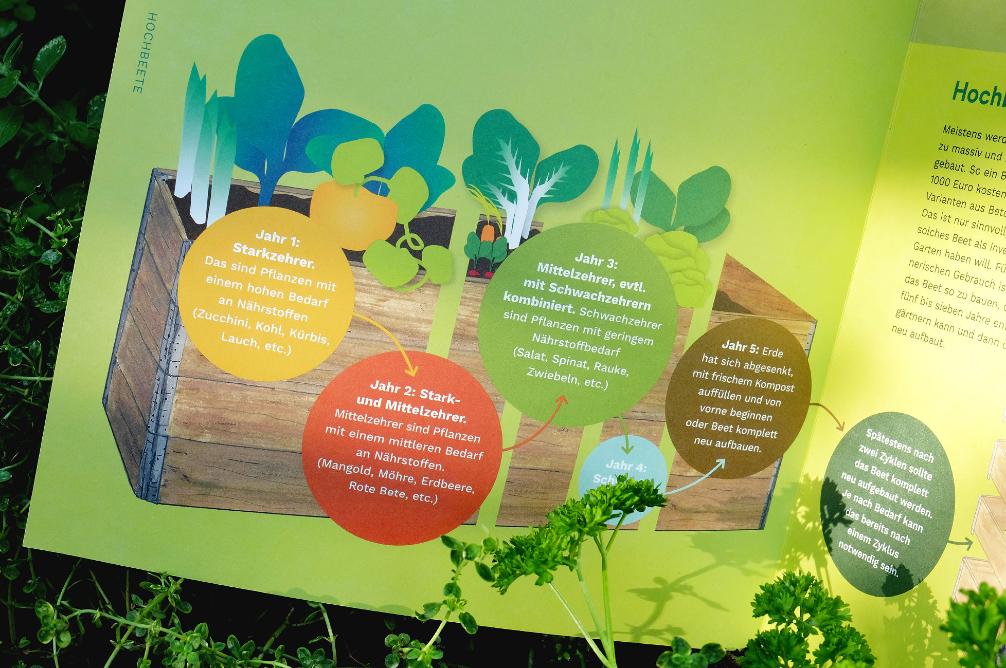 Deutsche Schreberjugend – handout raised beds, infographic Deutsche Schreberjugend – handout raised beds, infographic