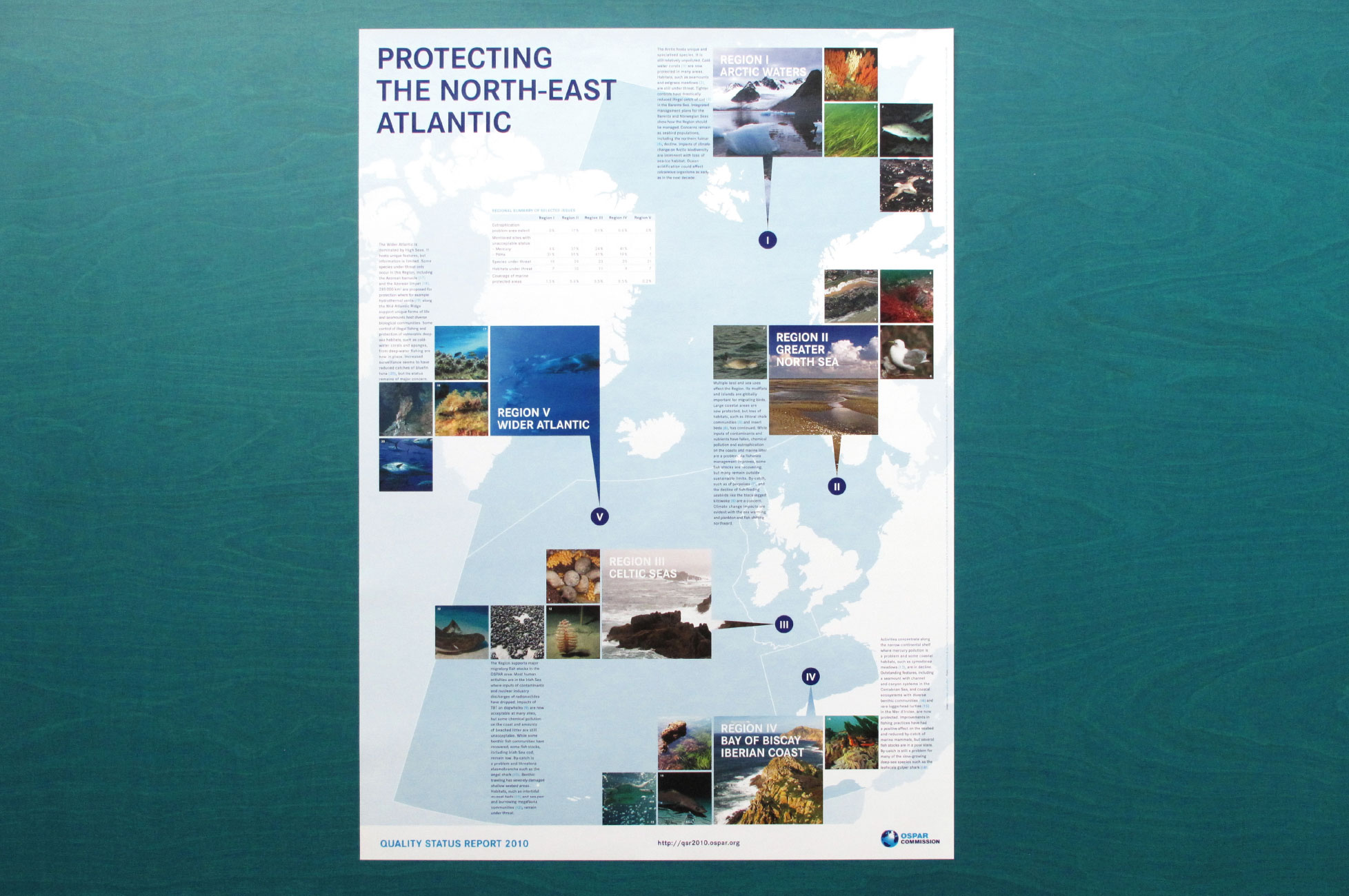Protecting the North-East Atlantic - Plakat DIN A1