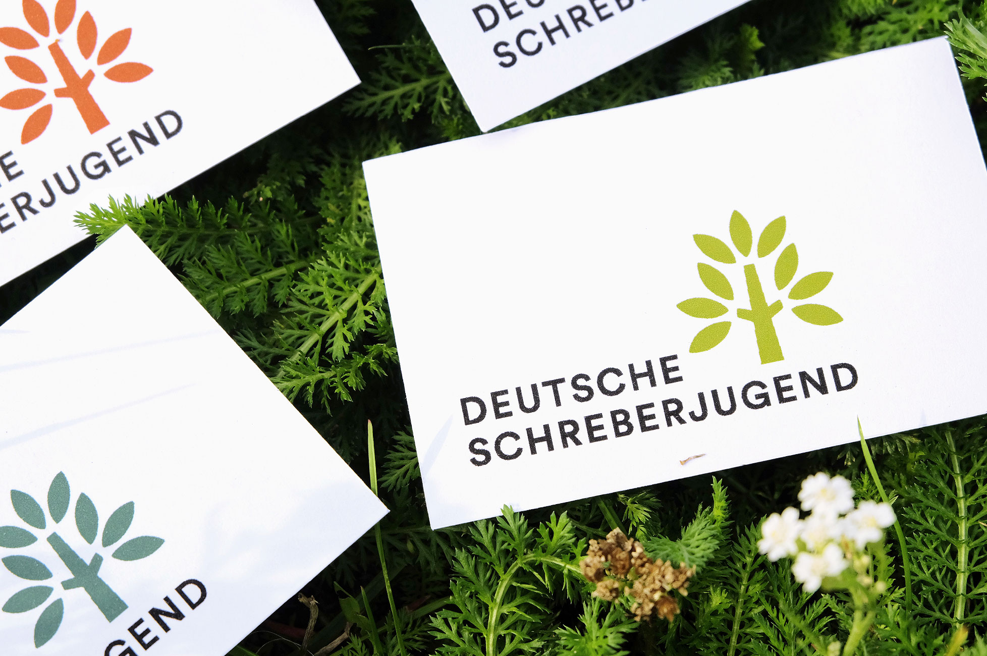 Deutsche Schreberjugend – Visitenkarten