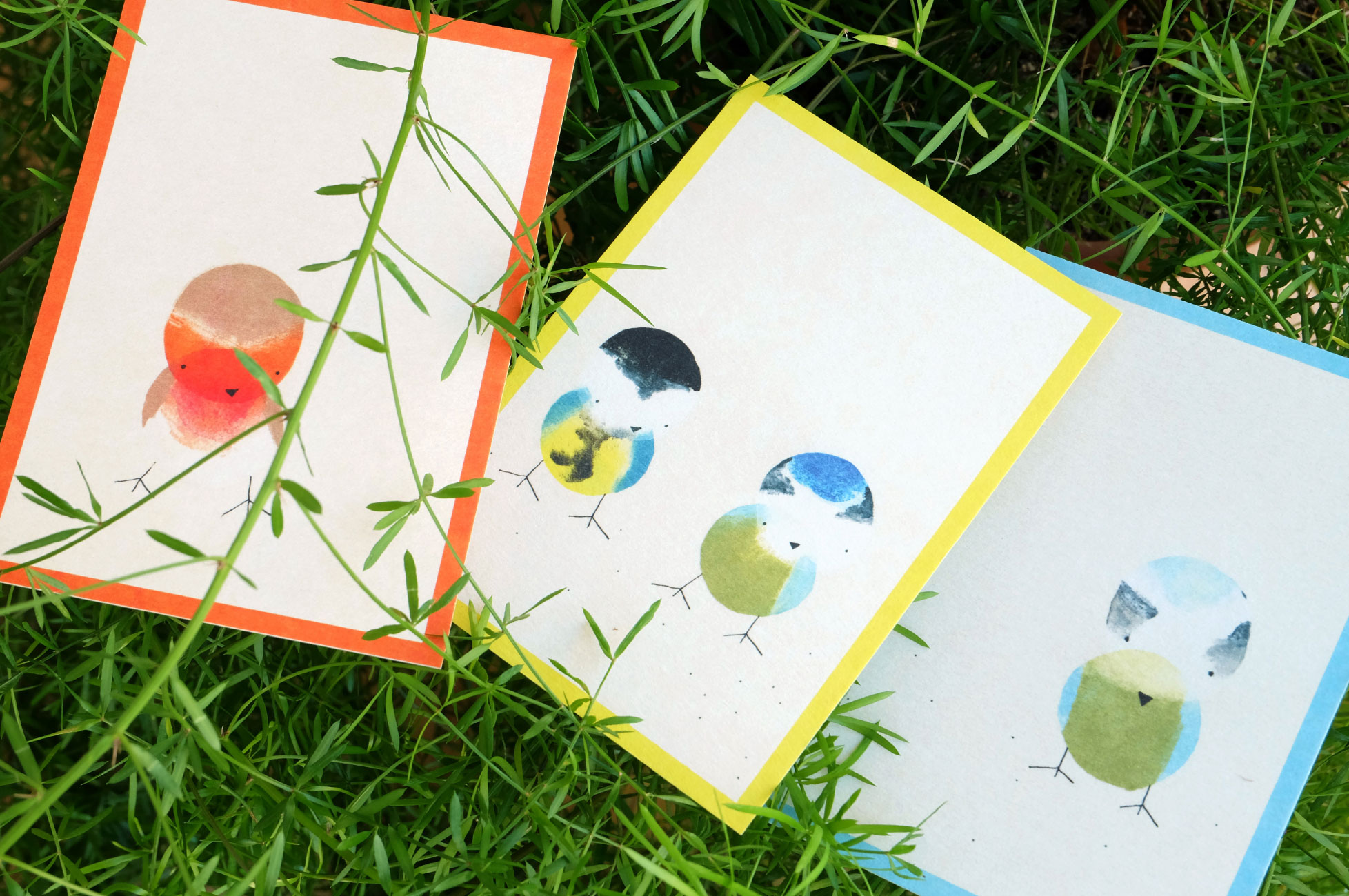 Vogelpostkarten - Motivübersicht