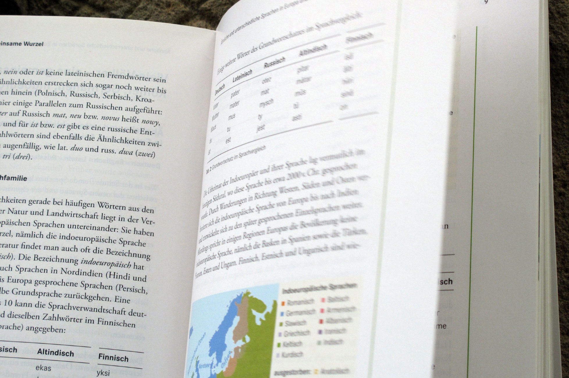 Forum Latein - inside