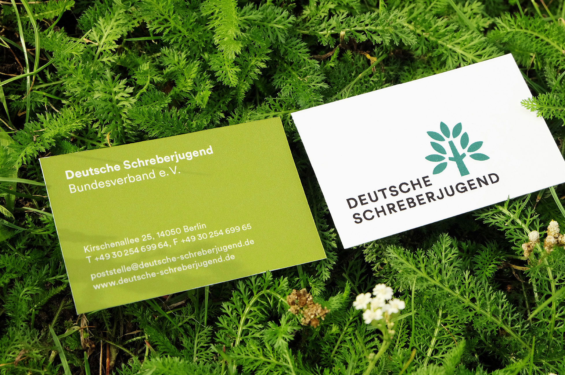 Deutsche Schreberjugend – Visitenkarte Vorder- und Rückseite