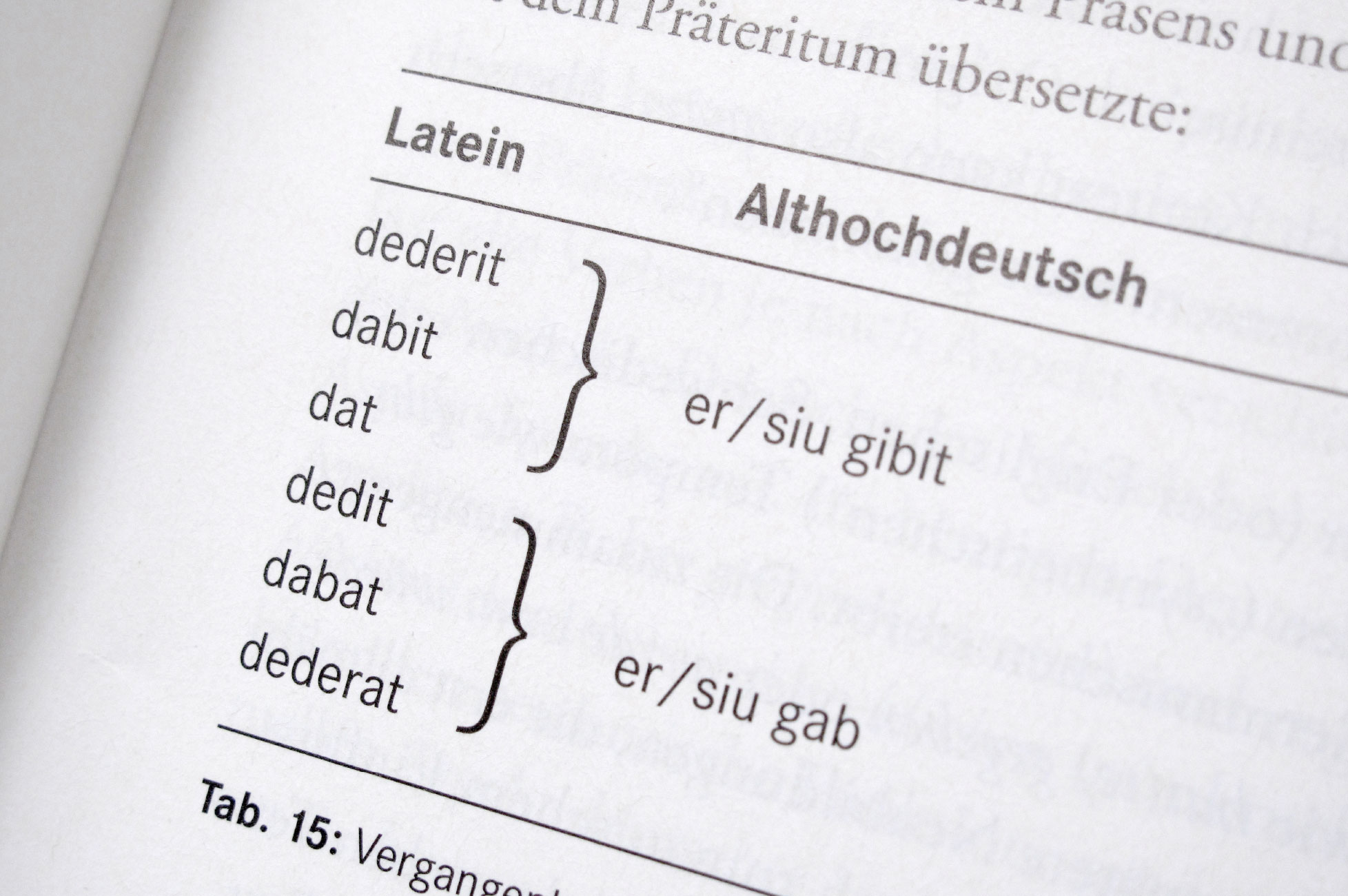 Forum Latein - detail: chart