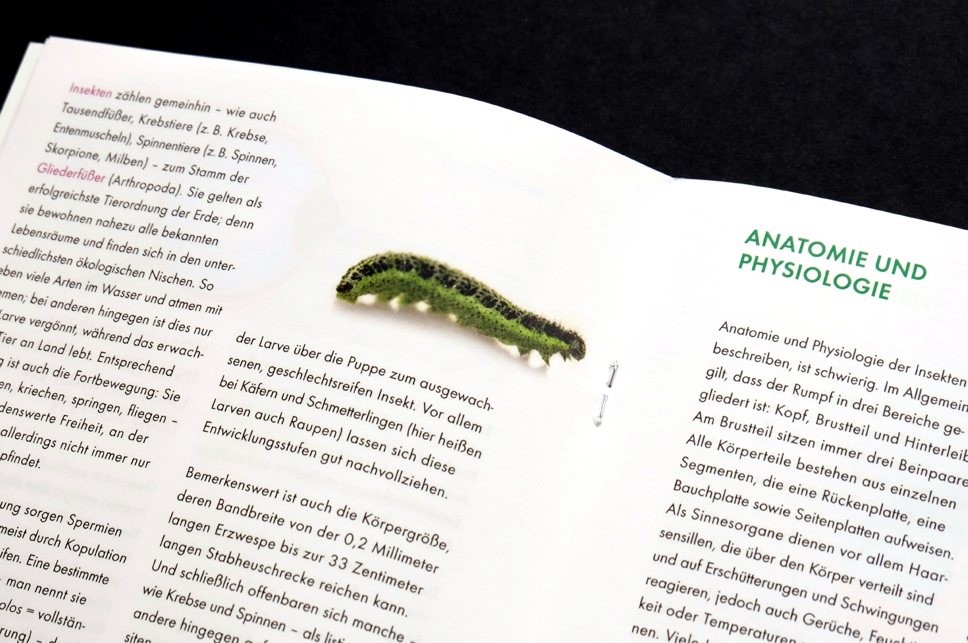 "Fliegende Juwelen" - exhibition brochure, inside "Fliegende Juwelen" - exhibition brochure, inside