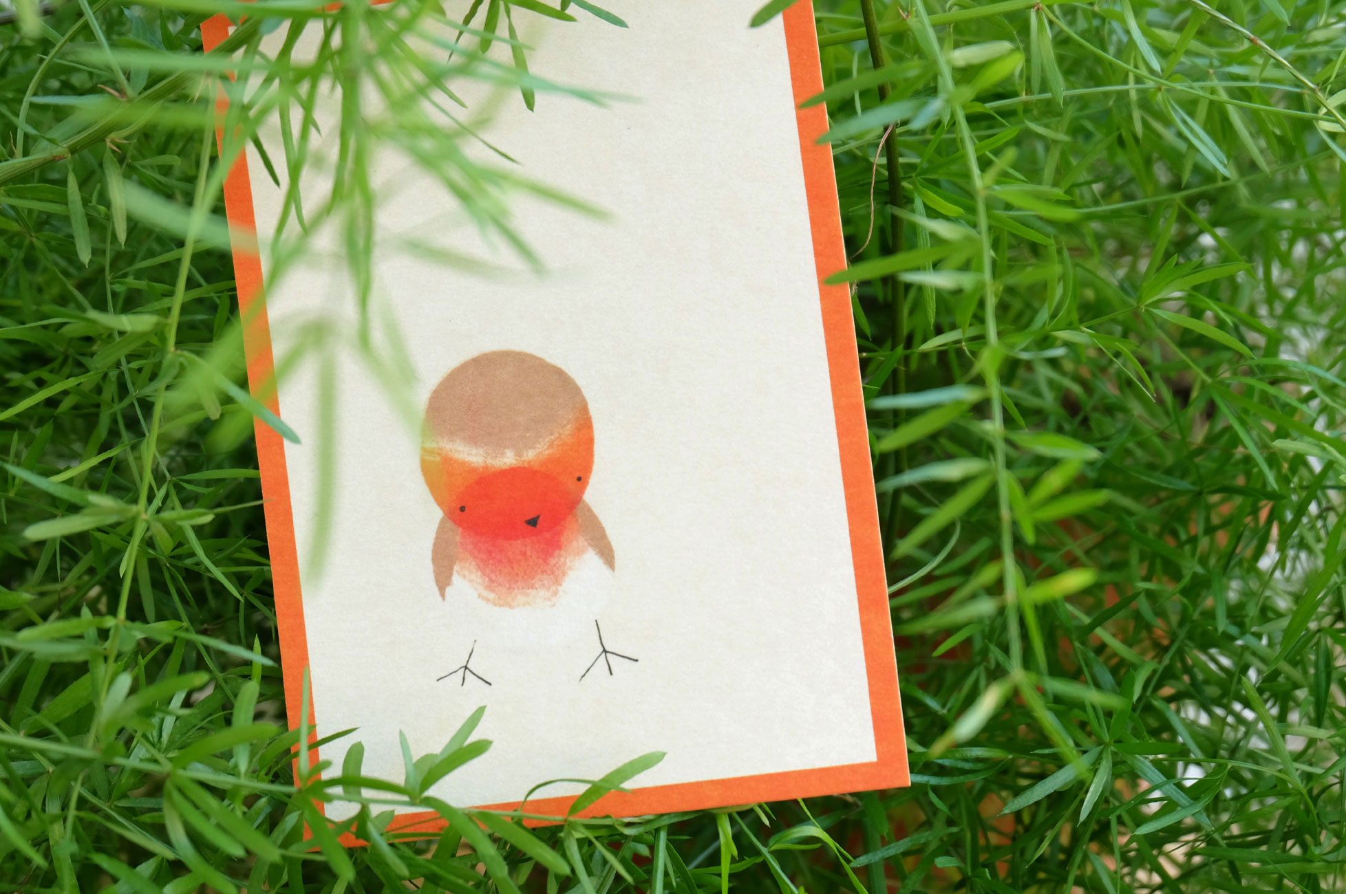 Vogelpostkarten - Rotkelchen