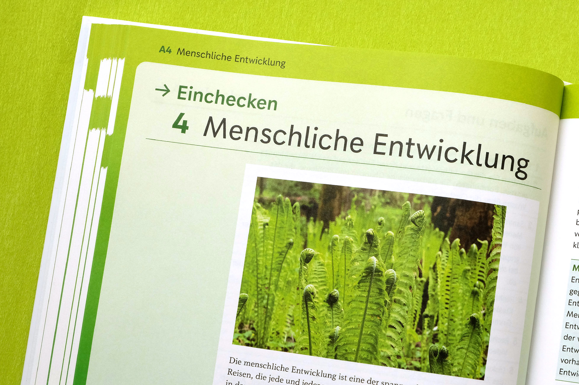 WeiterWissen – Kapiteleinstieg