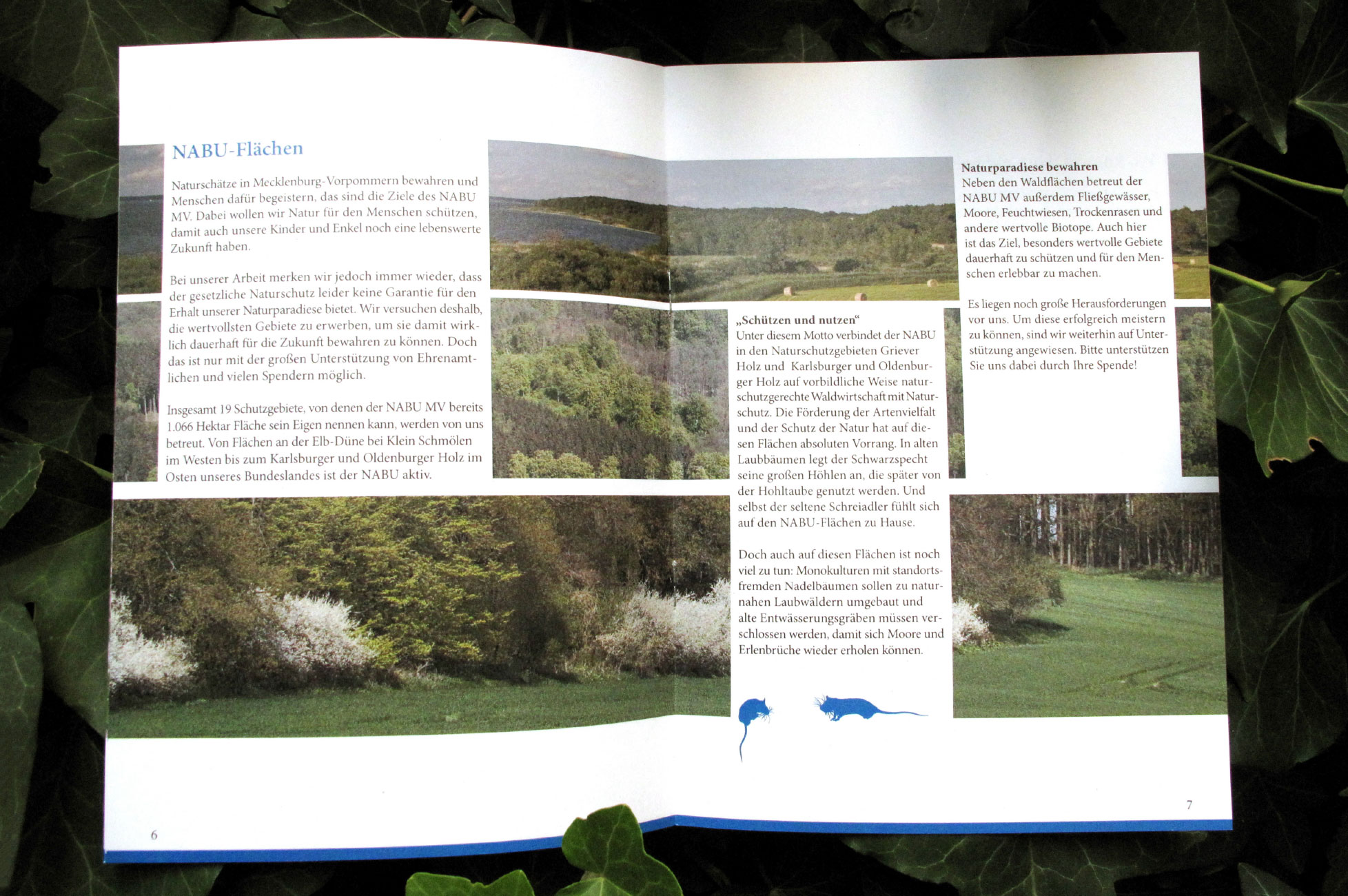 Annual report - inside