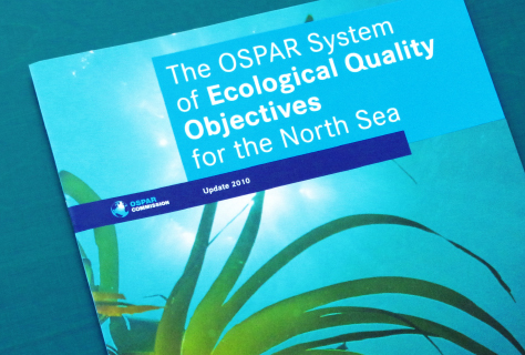 Ecological Quality Objectives