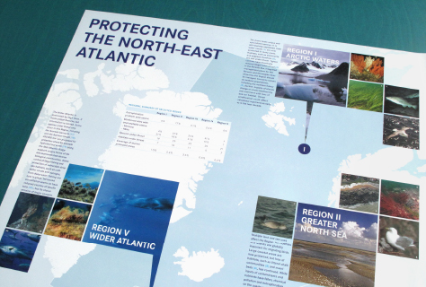 Protecting the North-East Atlantic