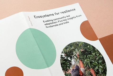 TMG Policy Paper: Ecosystems for resilience