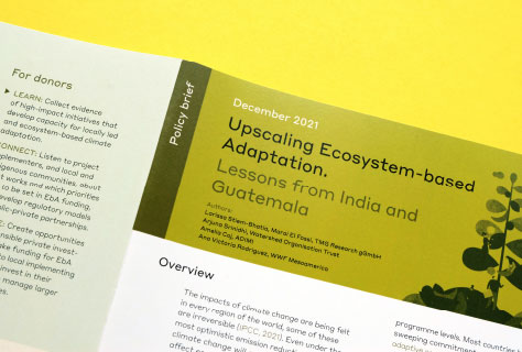 TMG Policy brief Upscaling